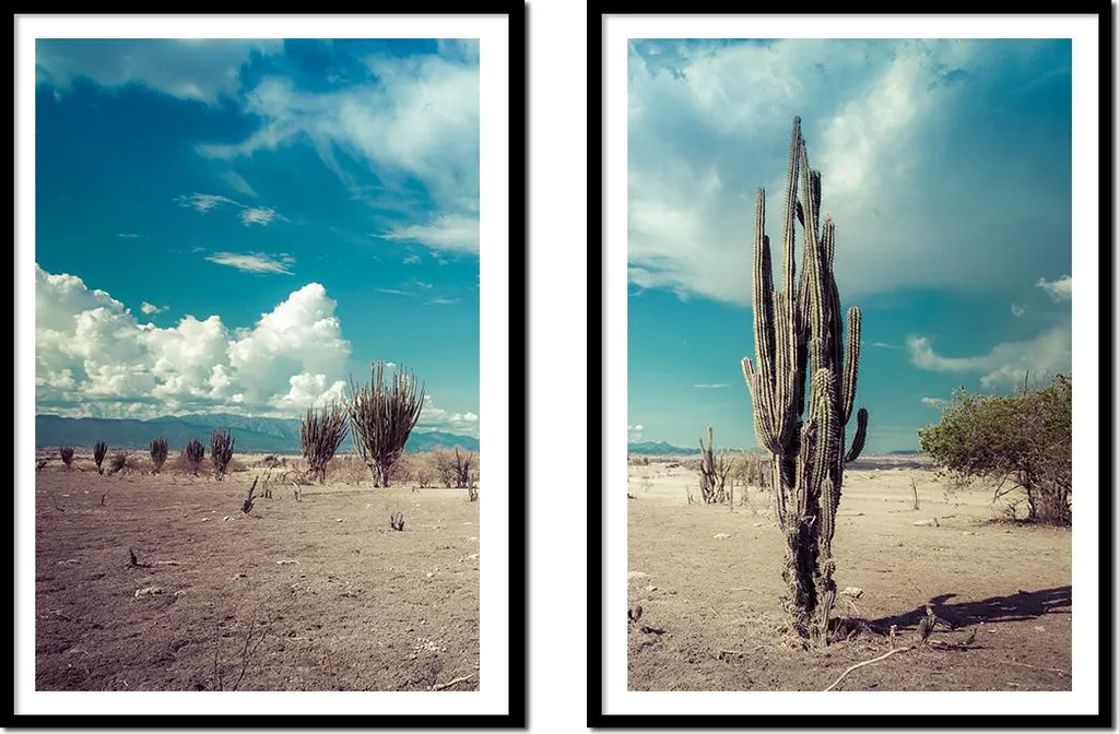 Set de 2 Tableaux Décoratifs Cactus Boho Encadrés Format 53x73 cm