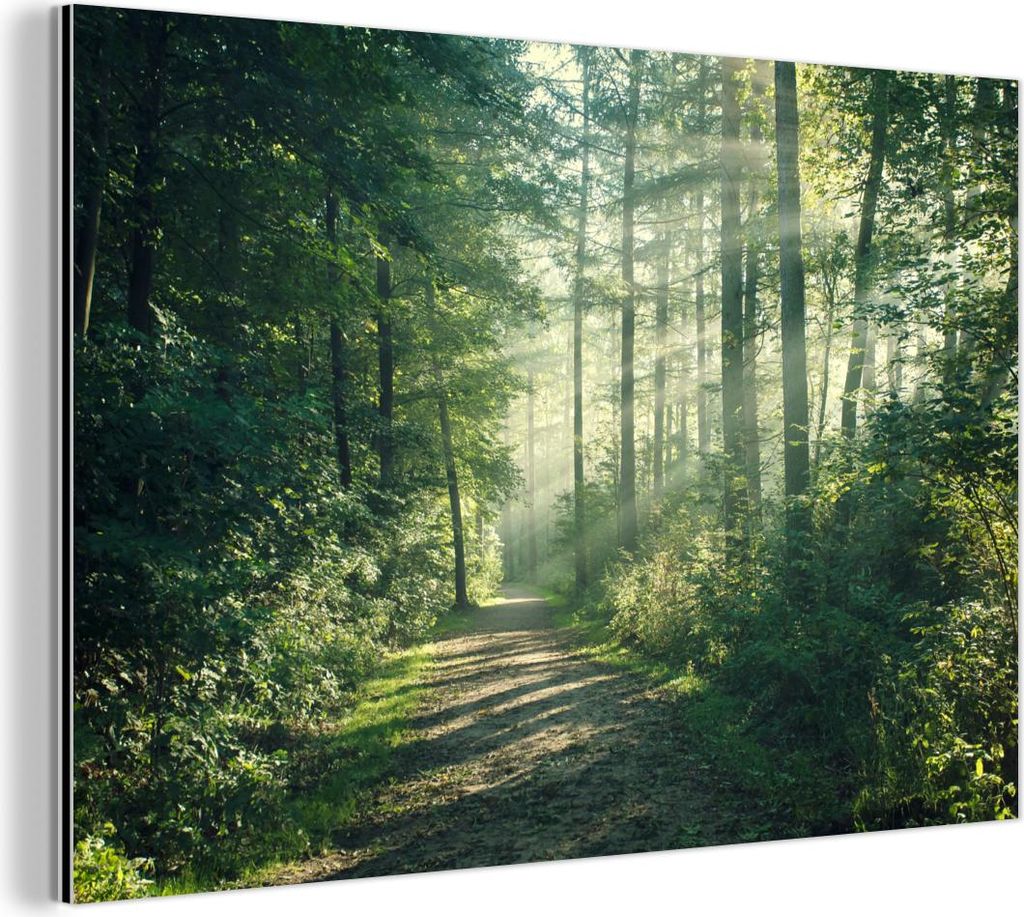 MuchoWow Wanddekoration Metall Metallbild Wandkunst 90x60 cm Wald - Weg - Sonne - Bäume - Grün - Natur MuchoWow Aluminium Gemälde - Wandbilder