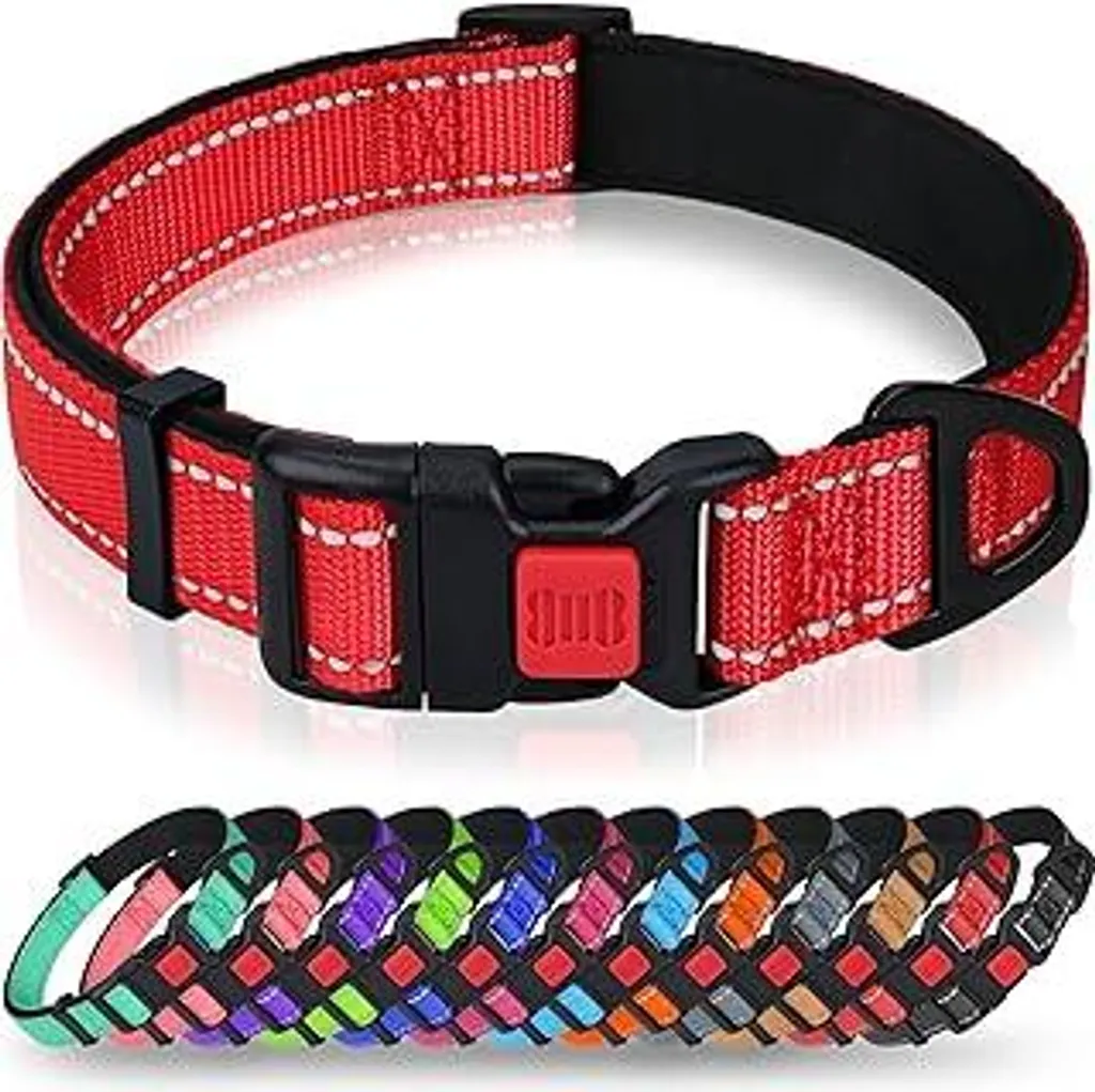 Collare Taglory Rosso M: Nylon e Neoprene per Cani Media Taglia