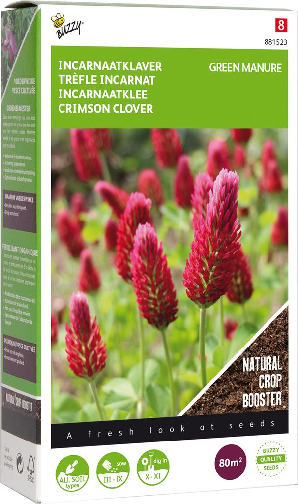 Gründünger Inkarnatklee (200 g) | Gründünger von Buzzy Seeds