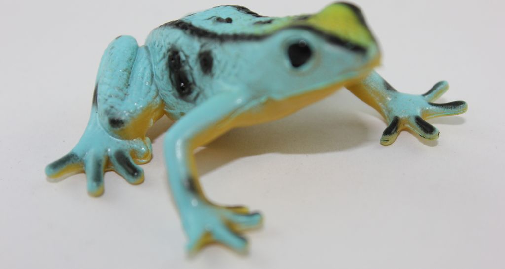 Cornelissen - 821089 - Pfeilgiftfrosch, Frosch, blau, 4cm, Produktbild 