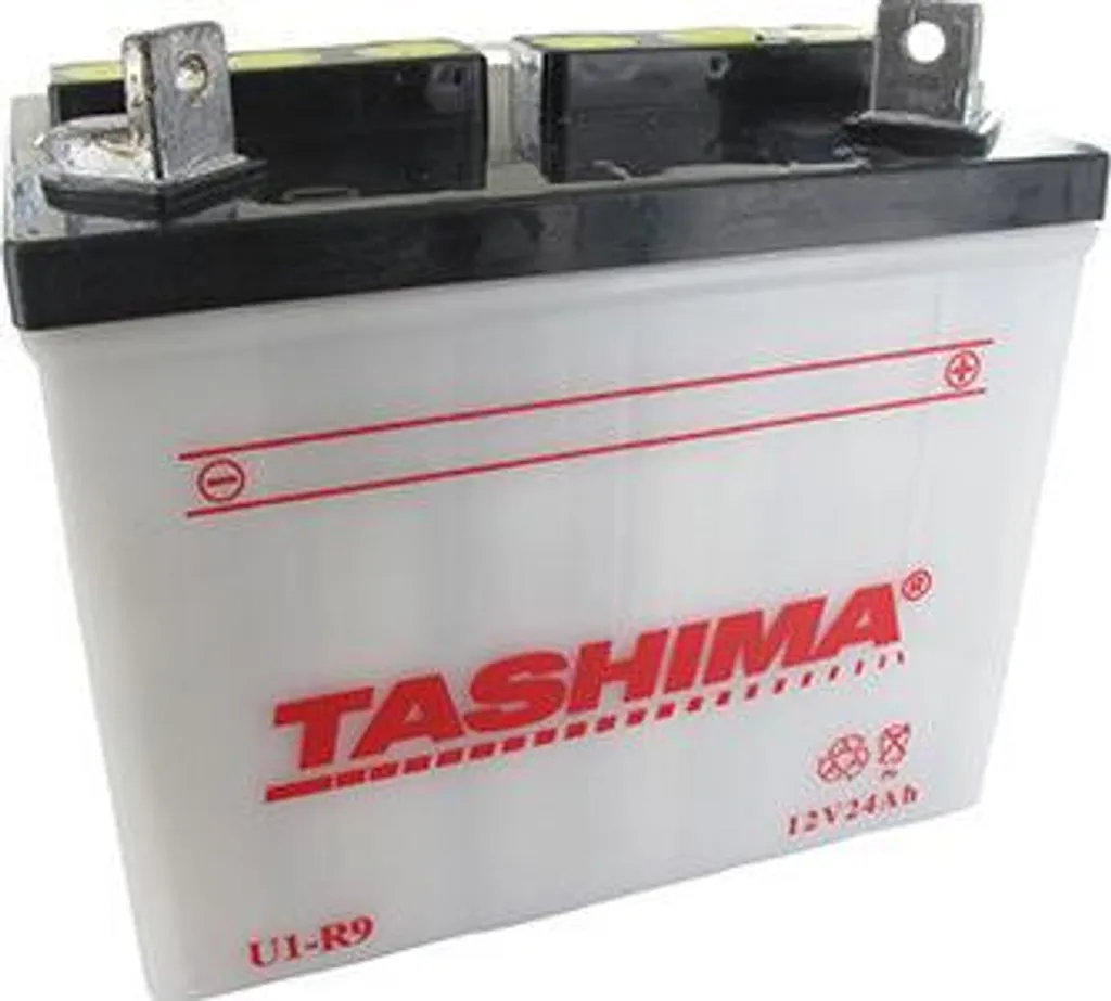 Batterie Plomb Tashima U19 12V 24Ah pour Tondeuse Autoportée