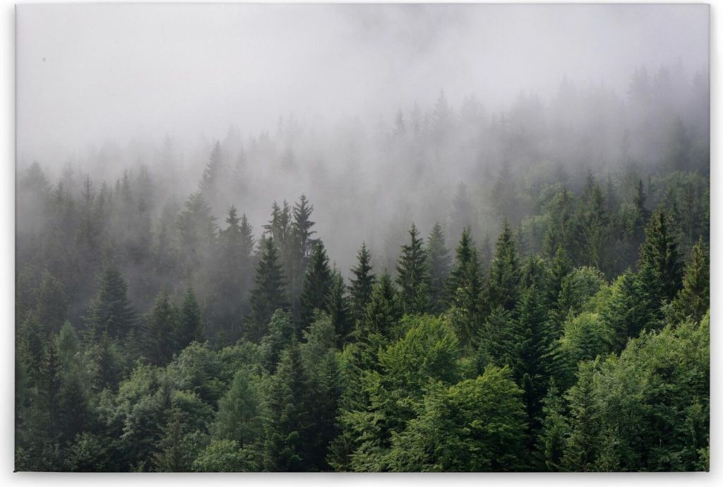 Leinwandbild Bäume 60 x 90 cm - Wandbild Wald Grün Weiß - Keilrahmen Natur Nebel Wohnzimmerdeko Wanddeko Wandgemälde