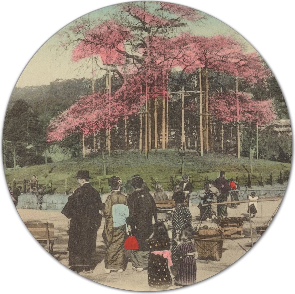 Glas-Herdabdeckplatte Glaskeramikkochfeld-Abdeckung Schneideplatten - 40 cm - Japanisch Nachmittag