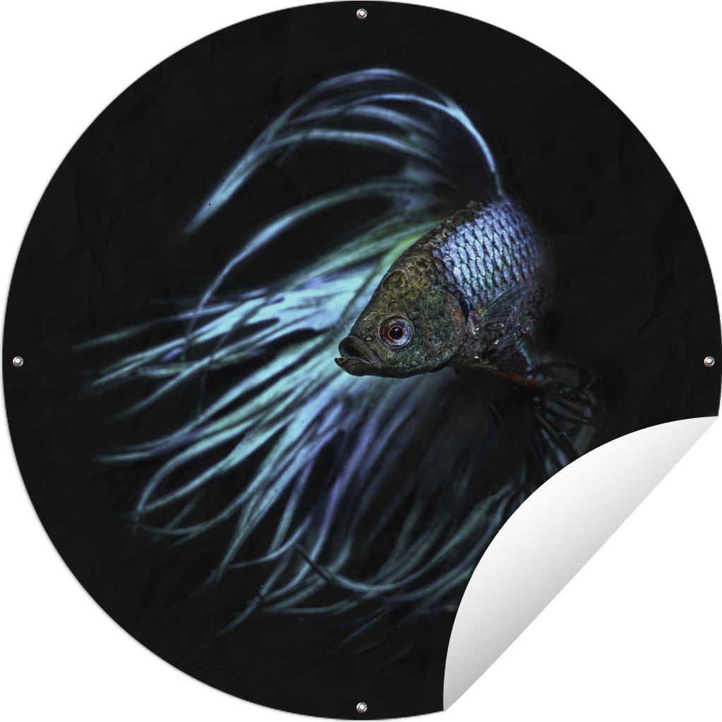 MuchoWow Gartenposter Outdoor-Poster Rund Fische - Meerestiere - Blau - Schwarz Ø 60 cm Gartendeko Rundes Poster draußen