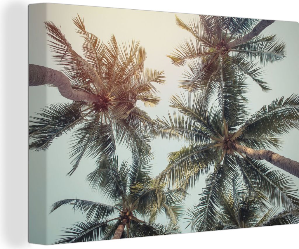 OneMillionCanvasses - Leinwandbilder - 140x90 cm, Palme - Sommer - Tropisch, Wandbilder Kunstdruck Wanddekoration - Foto auf Leinwand - Gemälde ...