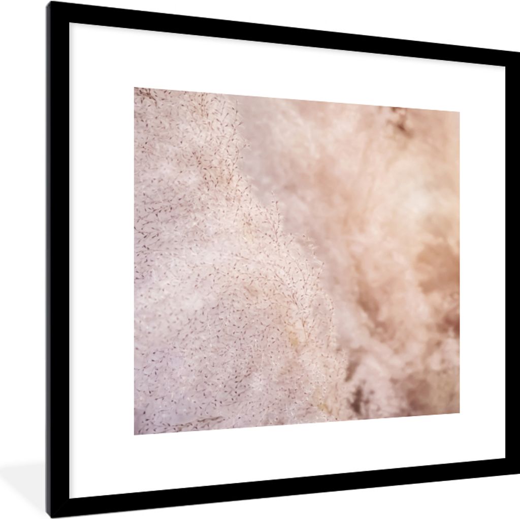 MuchoWow MuchoWow Gerahmtes Poster Pampasgras - Struktur - Pflanzen - Natur 40x40 cm - Poster mit zchwarzem Bilderrahmen - Poster - Plakat im R...