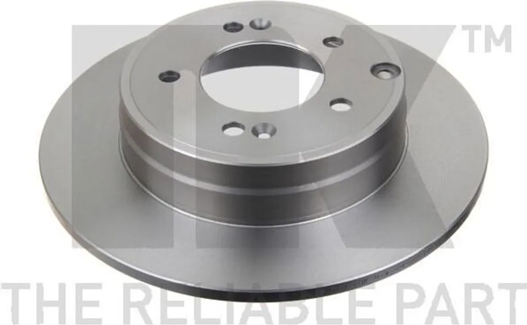 NK Disques de frein AR haute résistance - Hyundai Grandeur TG Sonata V NF