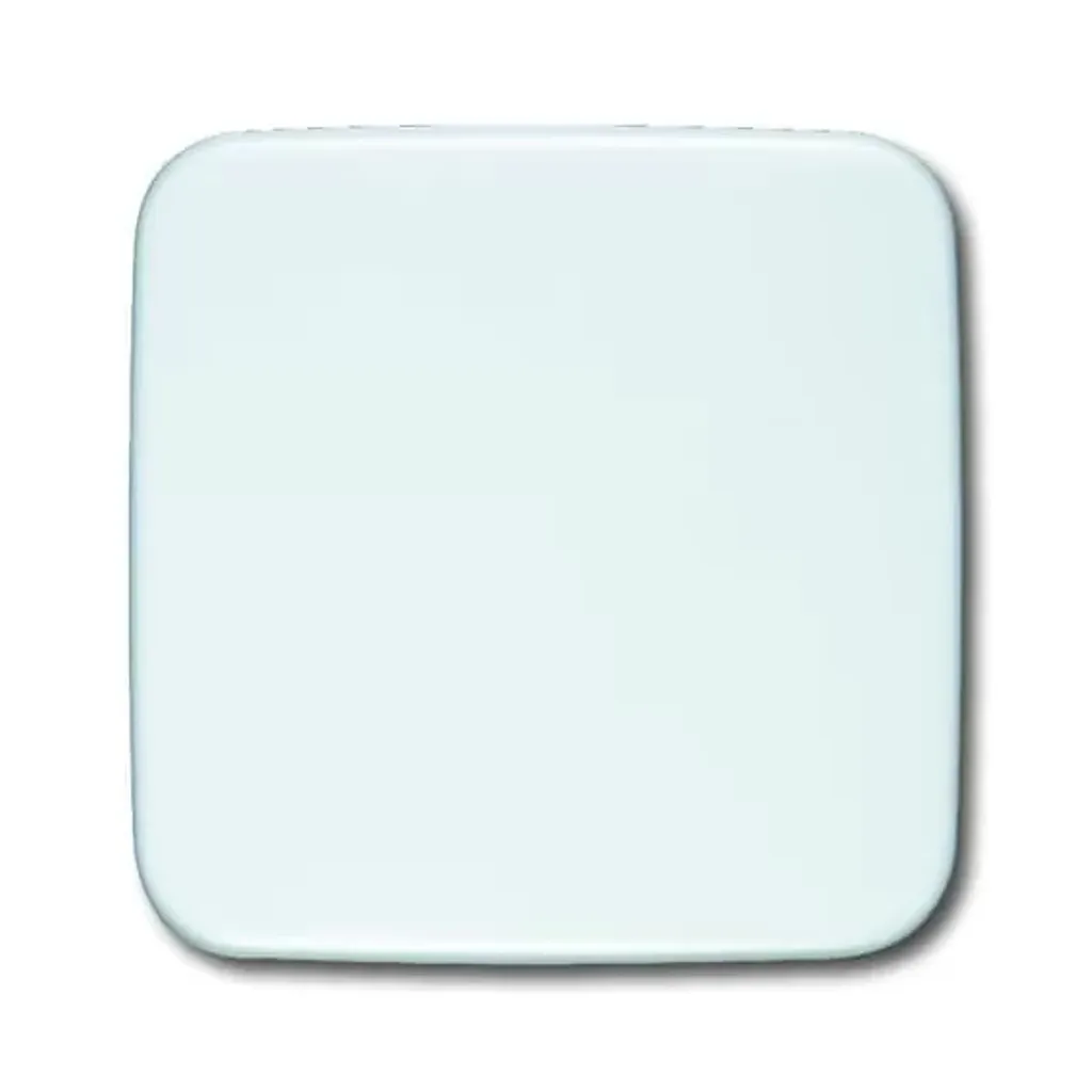 Enjoliveur de Commande Busch-Jaeger 2546-214 Blanc pour Va-et-Vient