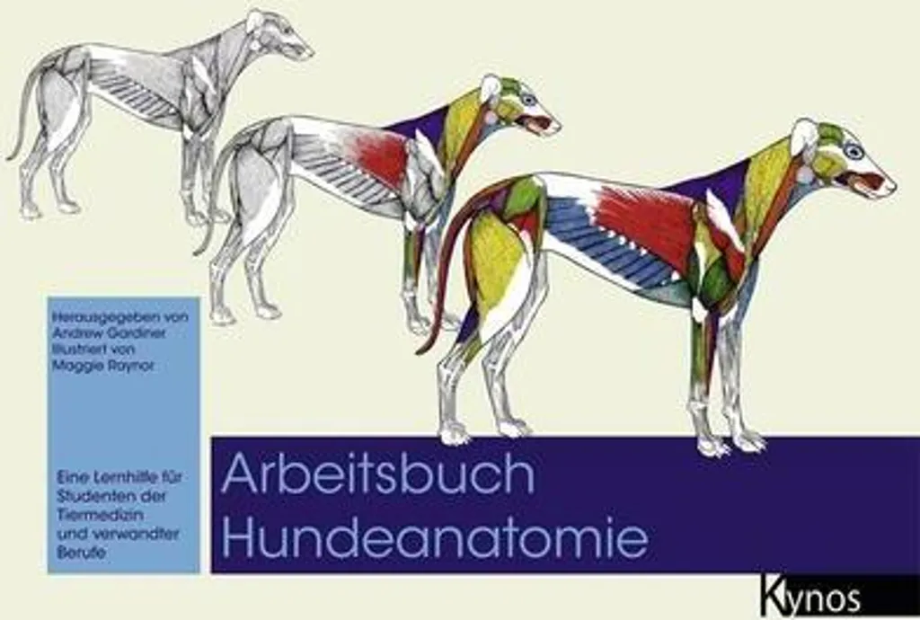 Comprendre l'anatomie du chien facilement avec ce manuel d'exercices