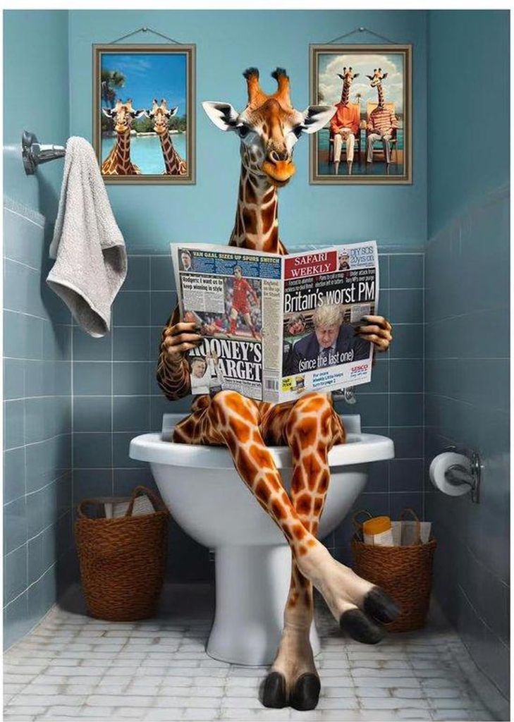 Kunstwerk für Badkamer, Canvas, Farbig, Humoristisch