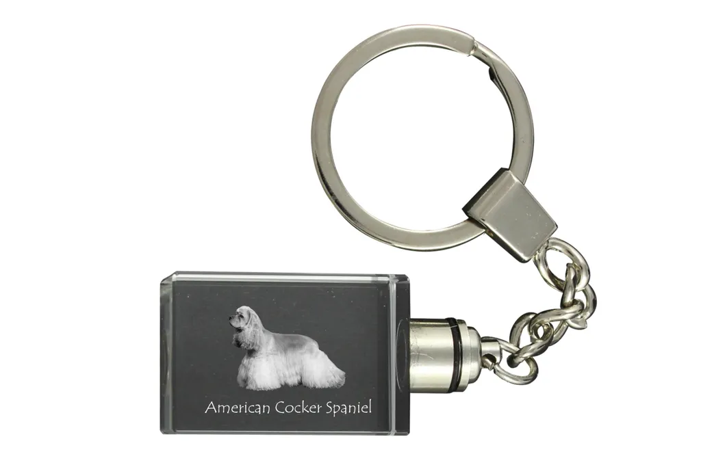 Pannello Di Guardia Per American Cocker – Cartello PVC 30x15 Cm – Con Testo Normativo E Viti Inox – Prodotto In Francia