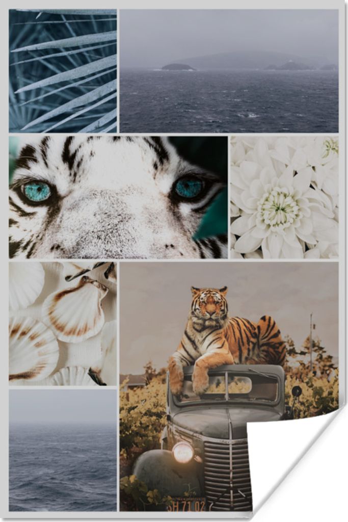 MuchoWow Poster Tiger - Auto - Blumen - Muscheln 20x30 cm - Papierdruck