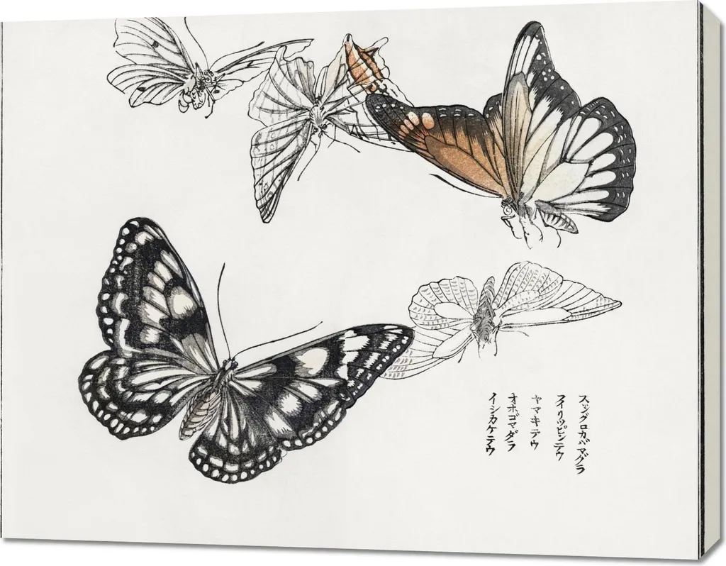 Tableau Papillons pour Salon : Grand Format 90x70 cm Style Japonais