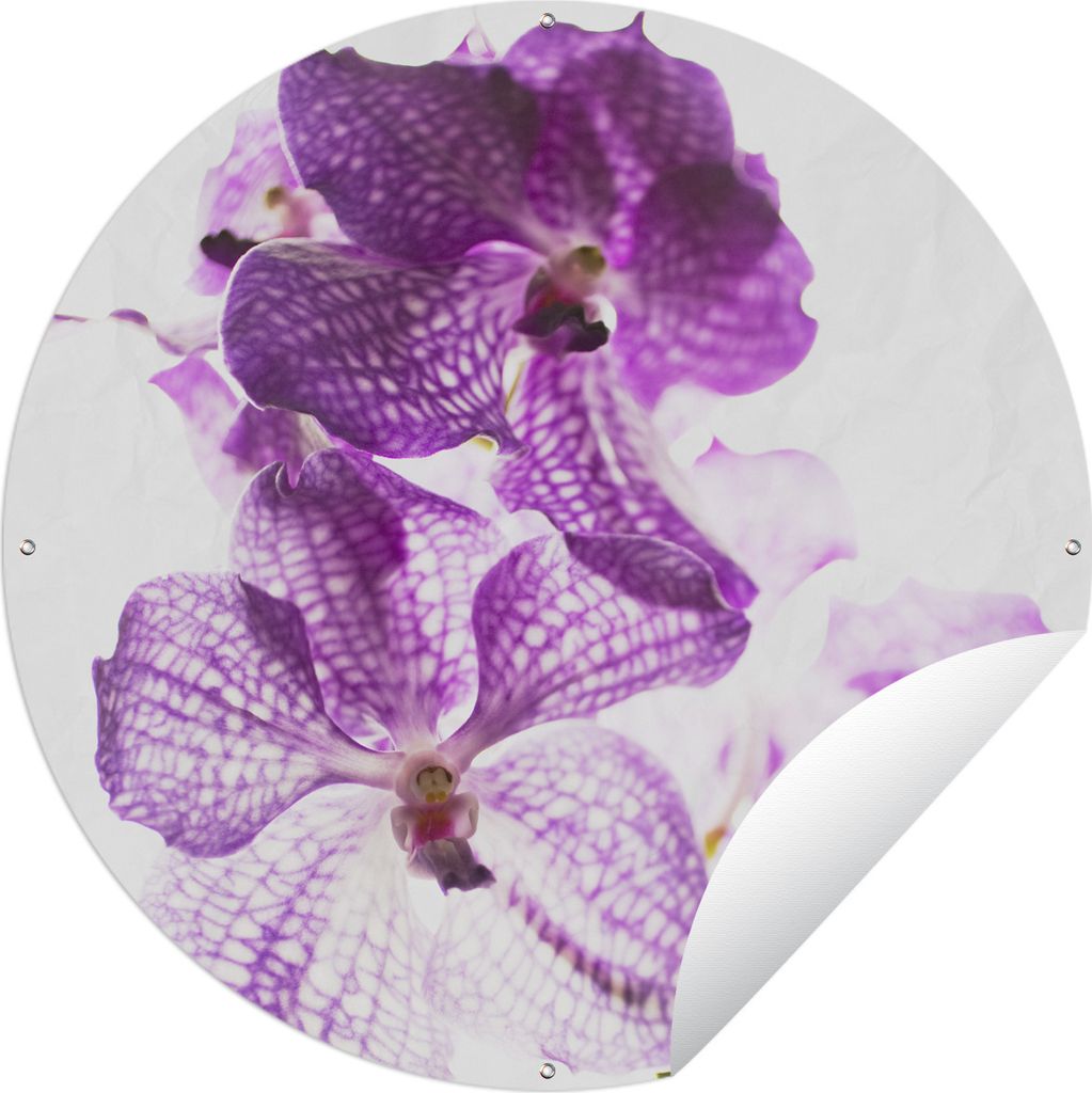 MuchoWow Gartenposter Outdoor-Poster Rund Lila Orchideen Ø 120 cm Gartendeko Rundes Poster draußen