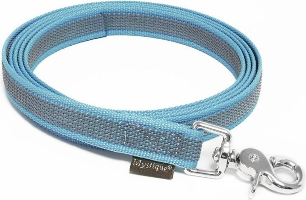 Mystique Gummierte Leine 20mm ohne Handschlaufe Scherenkarabinerhaken hellblau 2m