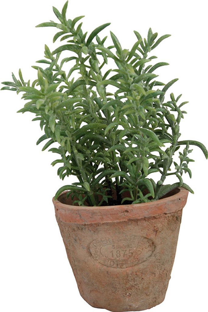 Esschert Design Kunst-Thymian in AT Topf S; AH001