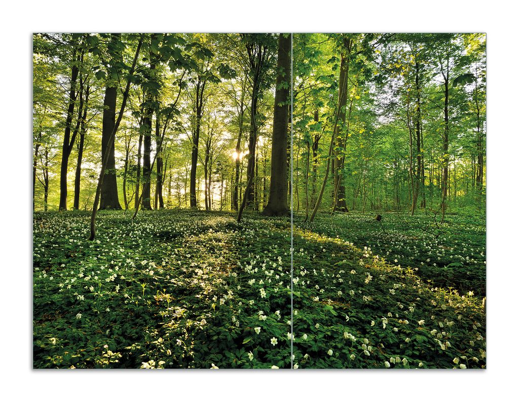 Wallario Herdabdeckplatte aus Glas, Größe 70 x 52 cm 2-teilig, Motiv Waldanemonen und Sonnenstrahlen im Wald