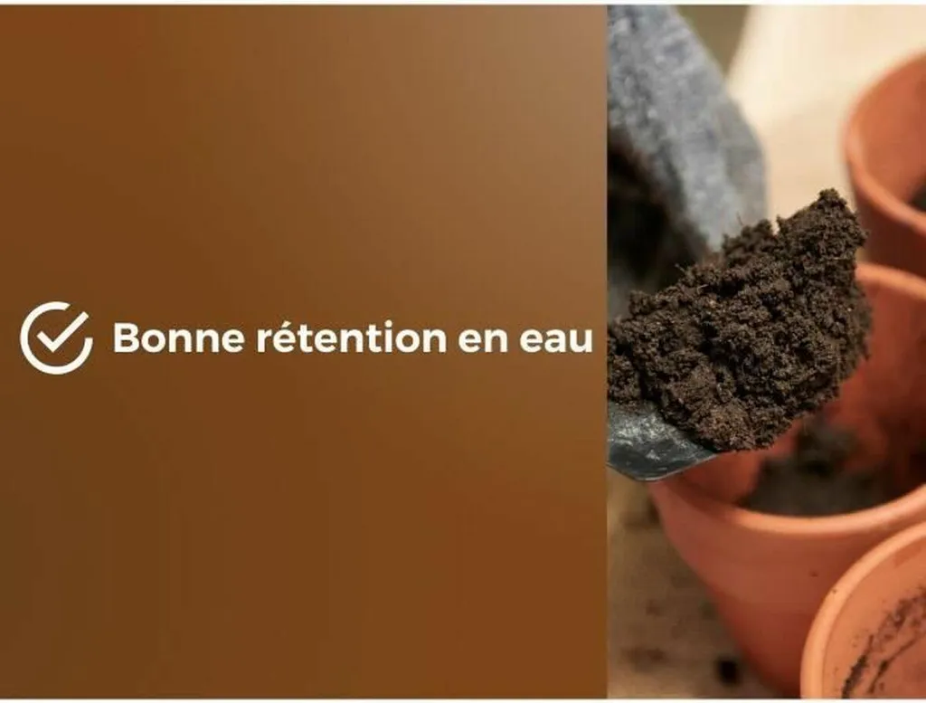 Terreau d'empotage Or Brun 6 L : Formule aérée avec rétention d'eau optimisée - 6