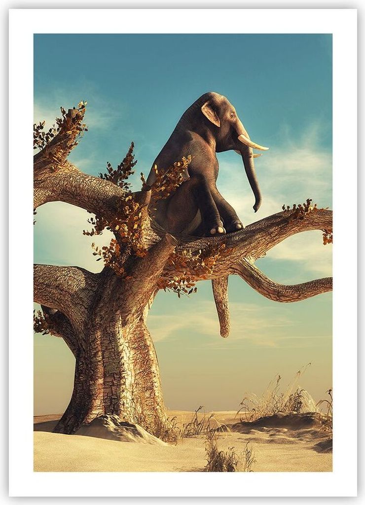 Poster - Poster ohne Rahmen - Sitzen Elefant Baum - 50x70 Produktbild 