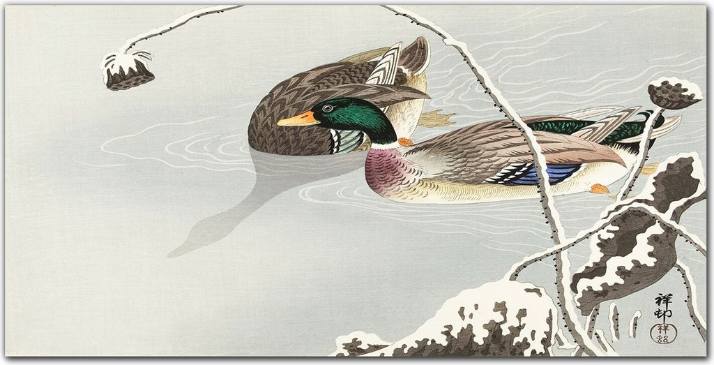 Coloray - Bild aus Glas - Glasbilder - 100 x 50 cm - Dekoration Wohnzimmer Wanddekoration Gehärtetes Glas Küche Glasblock mit Bild - Tiere Vögel...