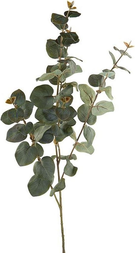 Fink EUKALYPTUSZWEIG, Kunstblume, Kunstfasern, dunkelgrün, L. 10 cm, B. 10 cm, H. 110 cm 188121