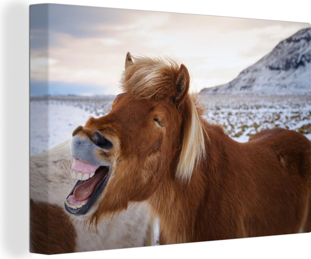 OneMillionCanvasses - Leinwandbilder - 140x90 cm, Pferd - Strand - Braun, Wandbilder Kunstdruck Wanddekoration - Foto auf Leinwand - Gemälde auf...