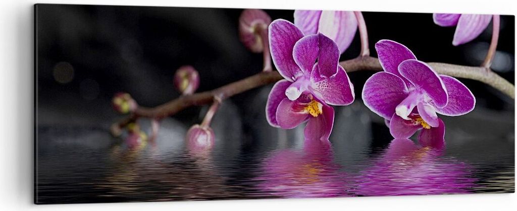 Bild auf Leinwand - Leinwandbild - Asien exotisch orchidee blume - 140x50cm - Wand Bild - Wanddeko - Leinwanddruck - Bilder - Kunstdruck - Wanddeko...
