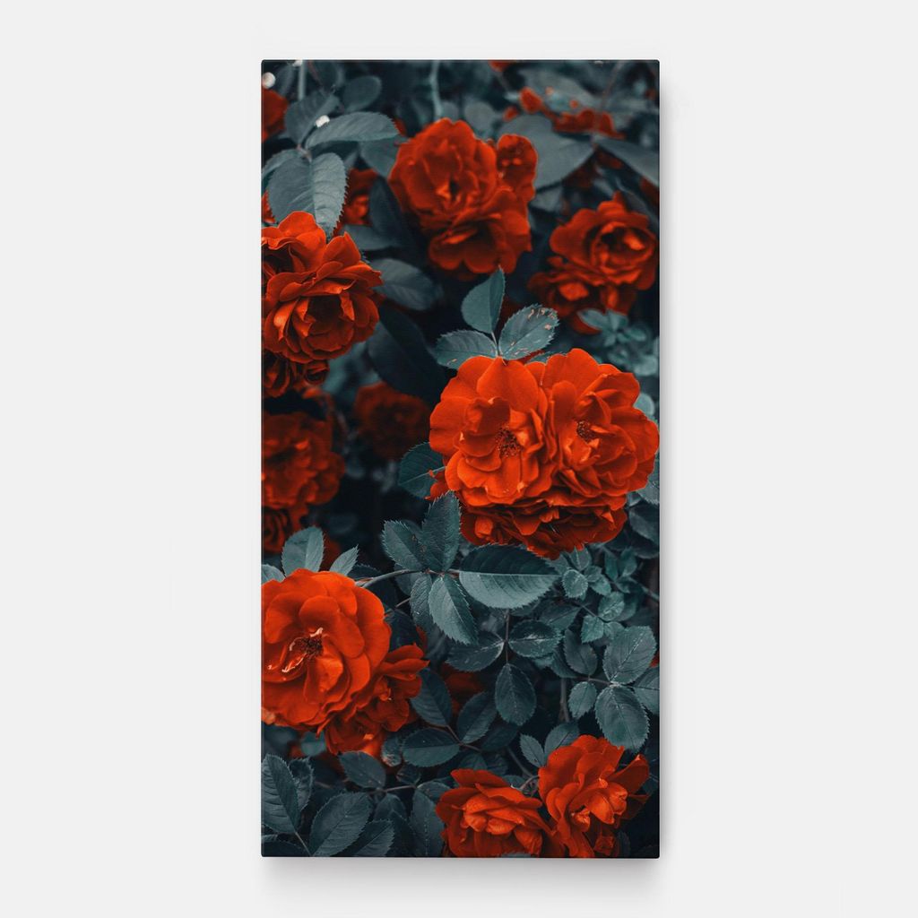 ARTHUB Leinwandbild 50x100 cm, Bright Red Rose | Wohnzimmerdekoration, Hängende Bilder, Wanddekoration, Heimdekoration, Blumen, Rosen