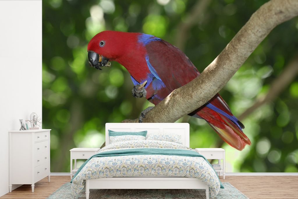 MuchoWow Fototapete für Wohnzimmer oder Schlafzimmer Wandtapete Vinyl Motivtapete Anmutiger Edelpapagei auf einem Ast in der grünen Landschaft ...