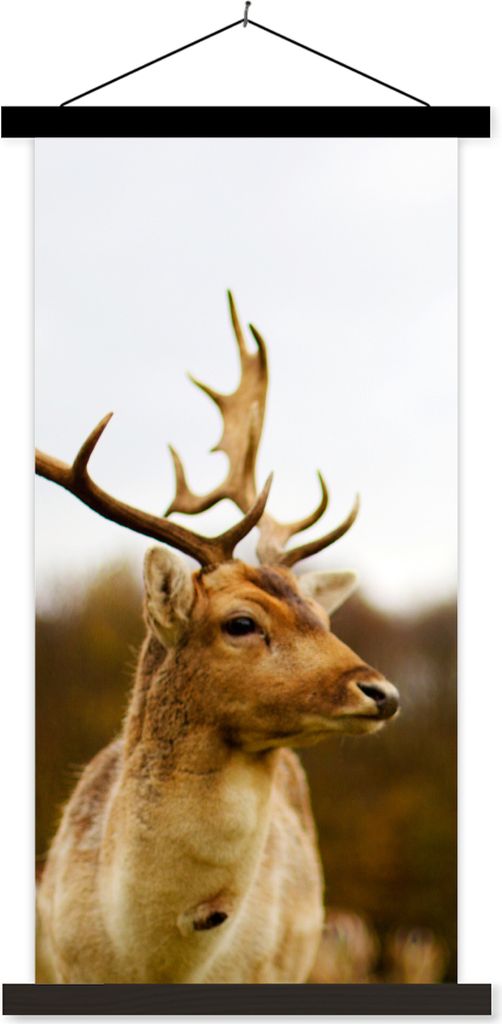 MuchoWow Textilposter Damhirsch - Wald - Herde - Tiere - Natur 60x120 cm mit schwarzem Rahmen - Magnete