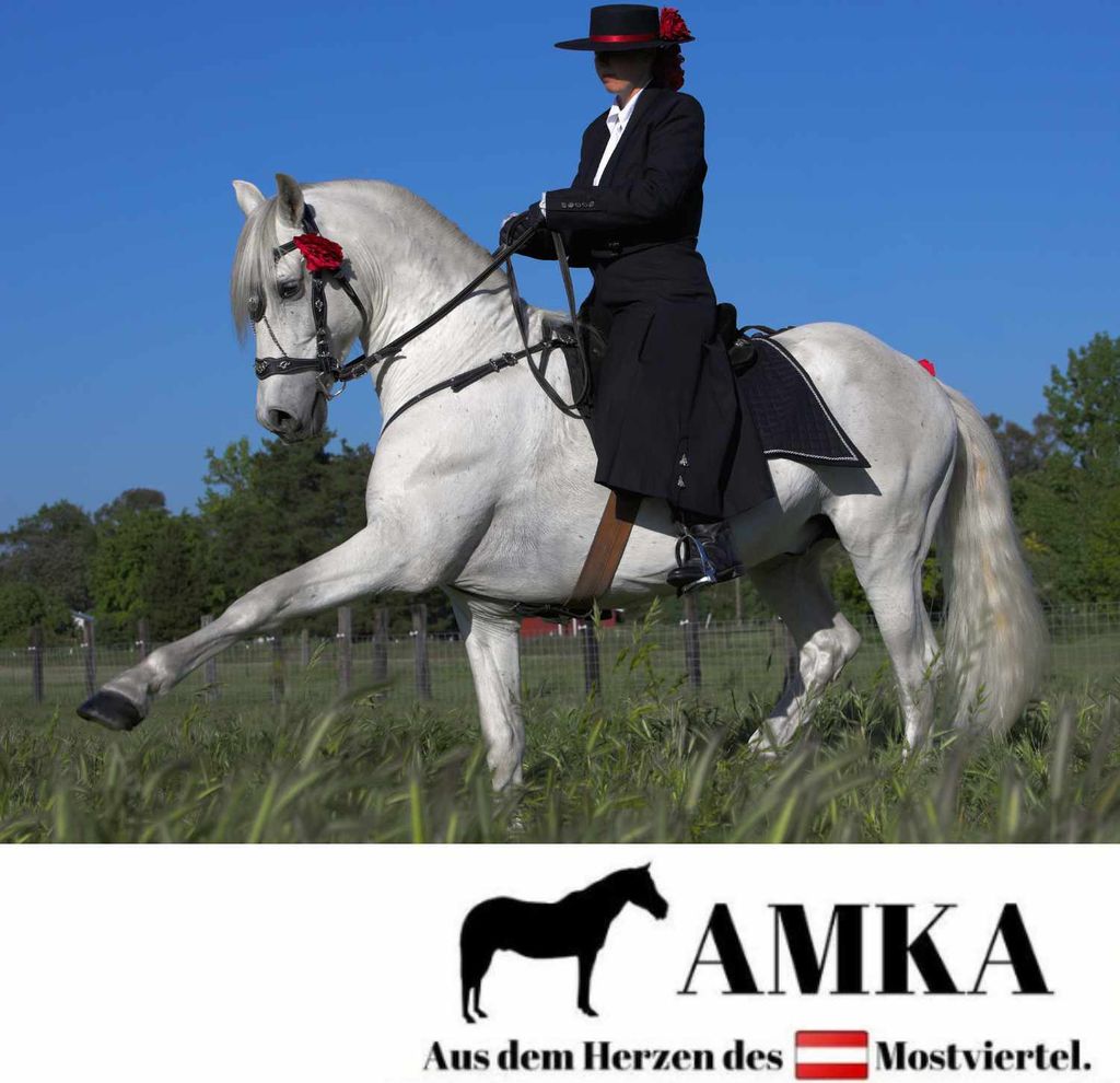 AMKA Spanische Trense Trensenzaum Rephukara Design Produktbild 8