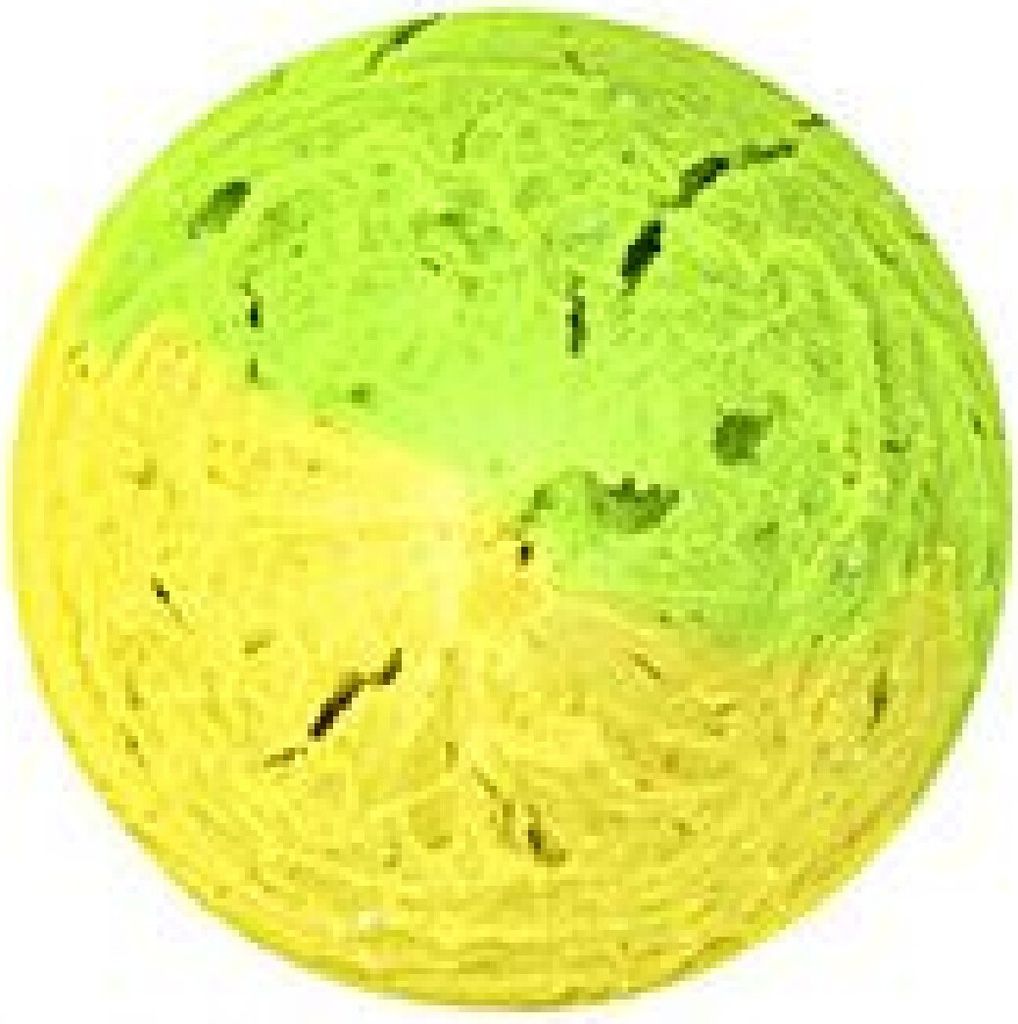 Spro Trout Master Pro Paste Garlic | Fluo Yellow / Green