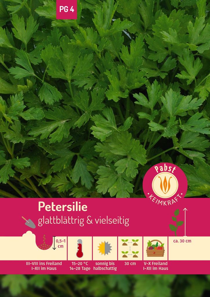 Artikelbild 1 von 'Petersilie Einfache Schnitt' aus der Kategorie Petersiliensamen