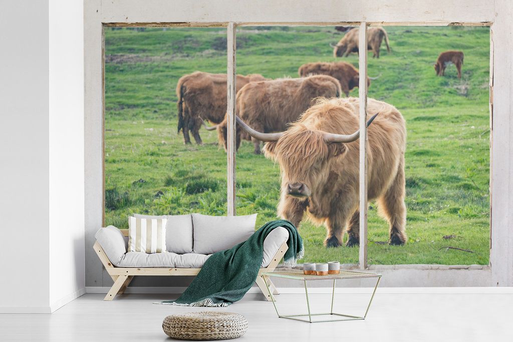 MuchoWow Fototapete für Wohnzimmer oder Schlafzimmer Wandtapete Vinyl Motivtapete Durchblick - Schottischer Highlander - Tiere - 525x350 cm - Da...