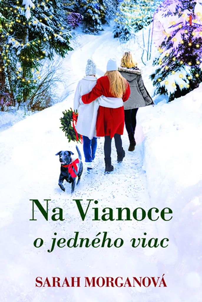 Livre de Noël Na Vianoce o jedného viac Sarah Morgan cadeau hiver