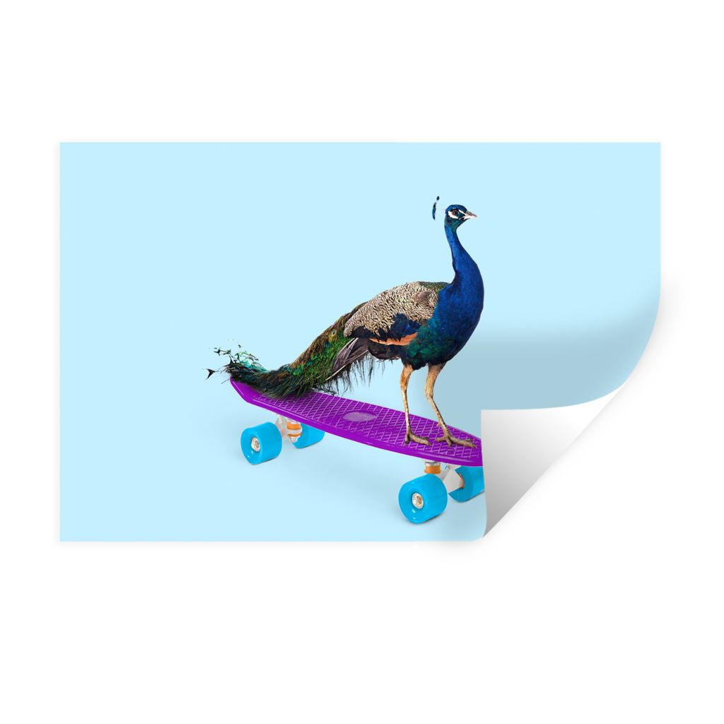 MuchoWow Wandtattoo Wandsticker Wandaufkleber Pfau - Blau - Skateboard - Tiere - Lustig 120x80 cm Selbstklebend und Repositionierbar - Selbstkleb...