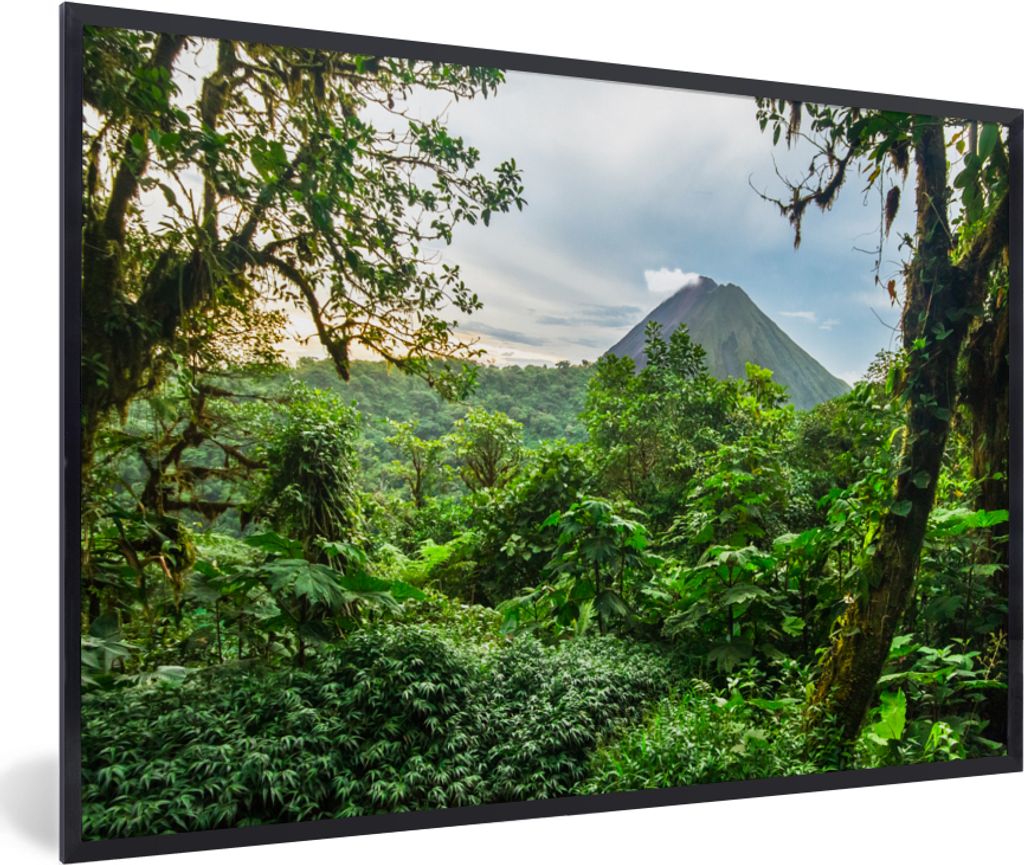 MuchoWow MuchoWow Gerahmtes Poster Dschungel - Baum - Vulkan - Jungen - Mädchen - Kind 90x60 cm - Poster mit zchwarzem Bilderrahmen - Fotorahm...
