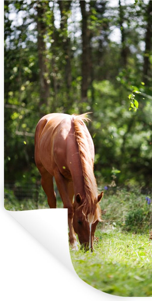 MuchoWow Wandtattoo Wandsticker Wandaufkleber Pferd - Blumen - Licht 60x120 cm Selbstklebend und Repositionierbar - Selbstklebend - Fototapeten