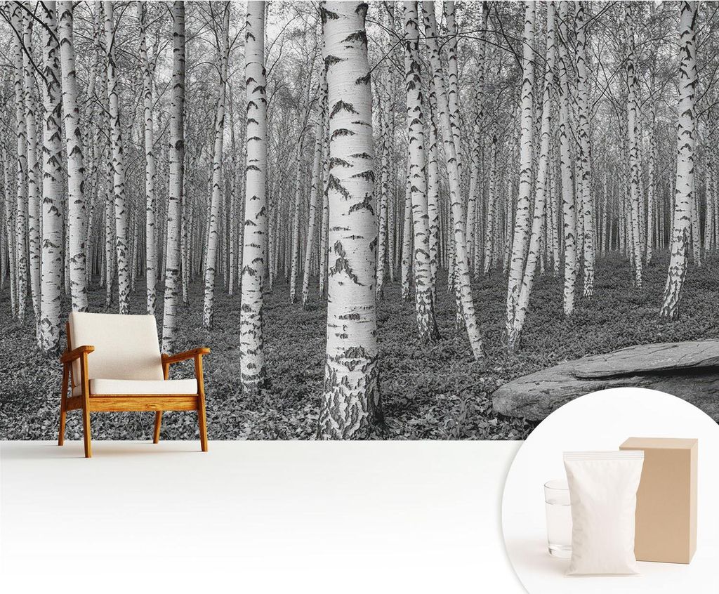 Fototapete - 416x254 cm - Tapete - Wandtapete - Wandbilder - Dekofolie - Tapete Folie - Wand - Dekoration - Wohnzimmer - Birkenwald