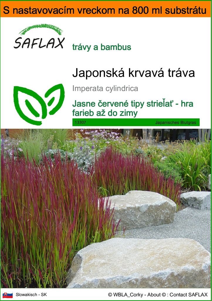SAFLAX Garden in the bag - Japonská krvavá tráva - Imperata Obrázok produktu 