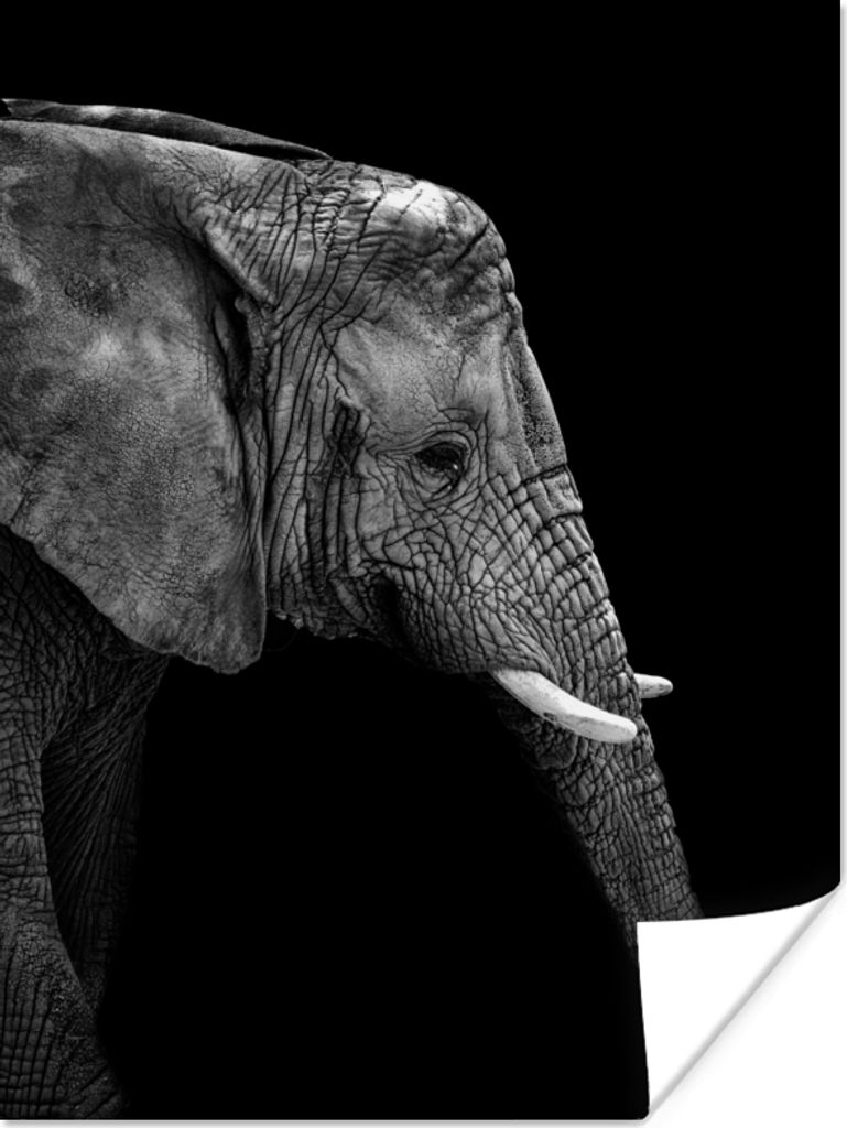 MuchoWow Poster Elefant - Schwarz und weiß - Porträt - Tiere 30x40 cm - Wandplakat - Poster Kinderzimmer