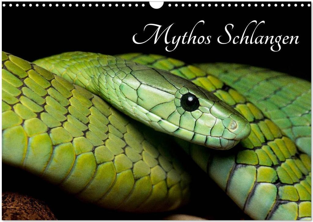 Mythos Schlangen (Wandkalender 2026 DIN A3 quer), CALVENDO Monatskalender