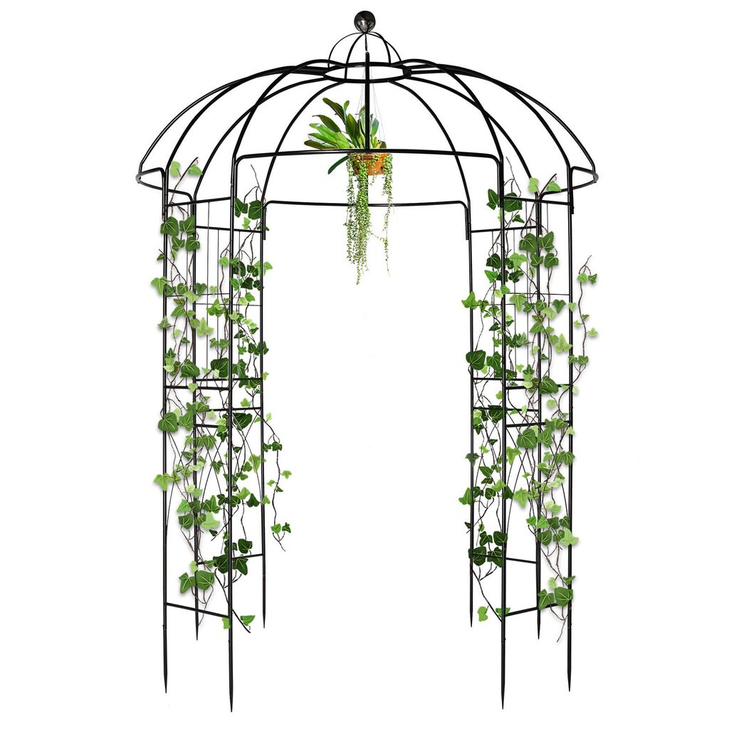FCH Arc de roses en métal, 270x207x207 cm, support pour Image du produit 