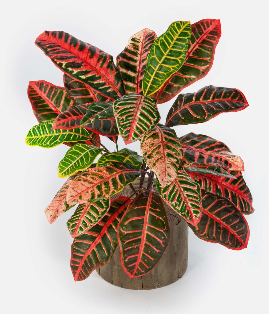 artplants.de Kroton künstlich ANNUKKA auf Steckstab, bunt, 75cm - Künstliche Tropische Pflanze