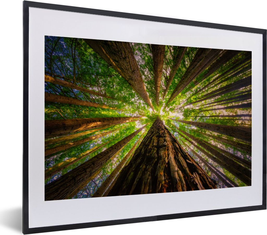 MuchoWow MuchoWow Gerahmtes Poster Wald - Baum - Holz 40x30 cm - Poster mit zchwarzem Bilderrahmen - Bilderrahmen - Poster im Rahmen