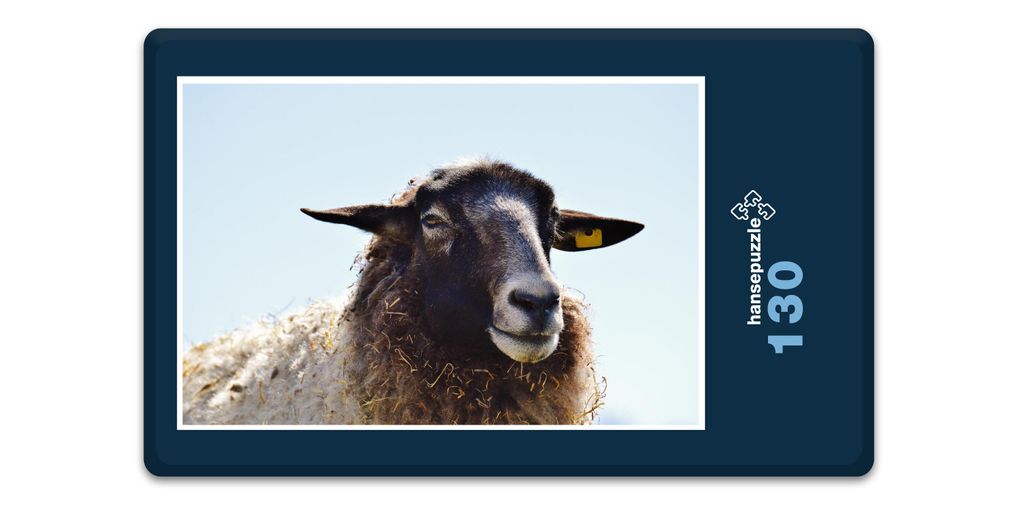 hansepuzzle 18505 - Schaf Puzzle, 130 Teile, Tierwelt, 28,7 x 20,0cm mit hochwertiger Aufbewahrung, Kartonbox und wiederverschließbarem Beutel
