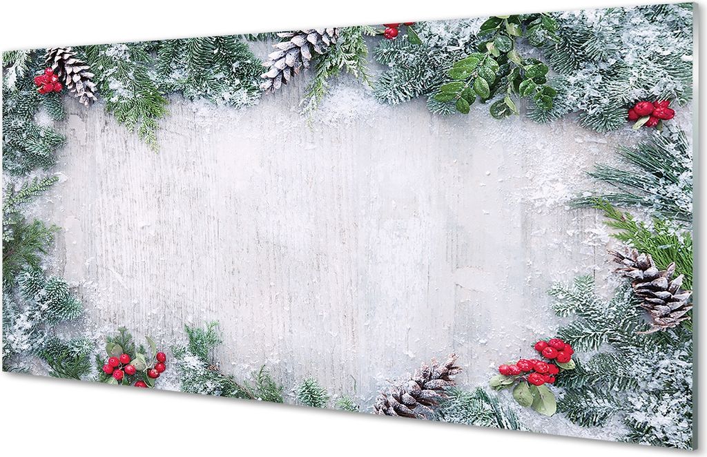 Glasbilder 100x50 Wandkunst Schneekegel, Zweige