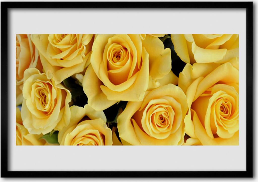 Bild 70x50 MDF-Rahmen Wandkunst Rosen Blumen Pflanzen