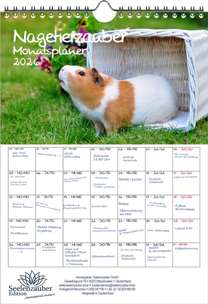 Nagetierzauber Planer DIN A4 Kalender für 2026 Hamster Ratte Maus Chinchilla Hase - Seelenzauber